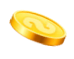 coin1